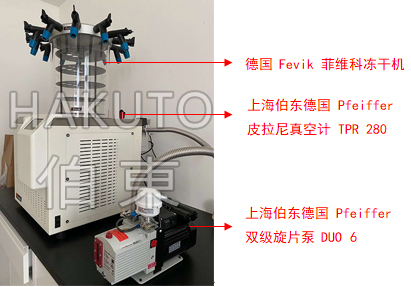 Pfeiffer 雙級(jí)旋片泵 DUO 6